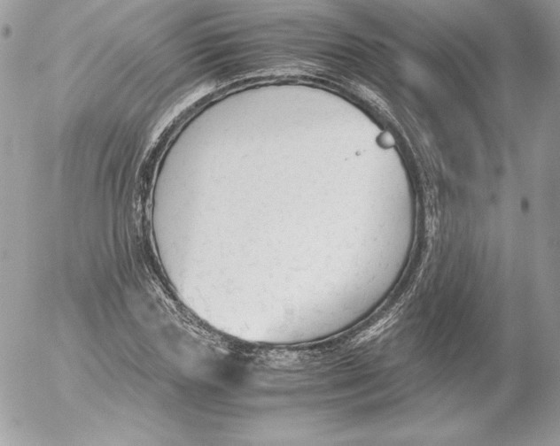 X0000052610827200507221657