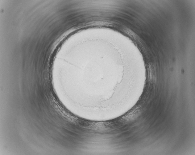 X0000052610828200507221657