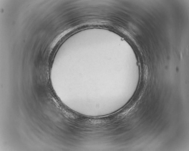 X0000052610829200507221657