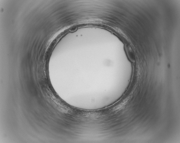 X0000052610830200507221657