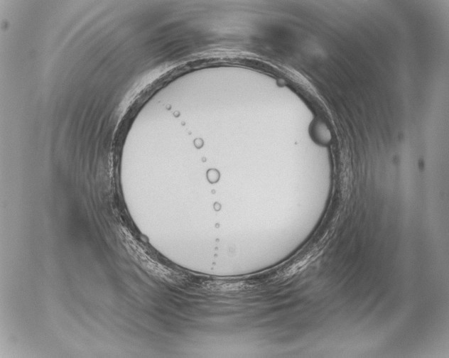 X0000052610831200507221657