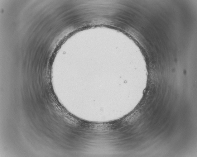 X0000052610832200507221657