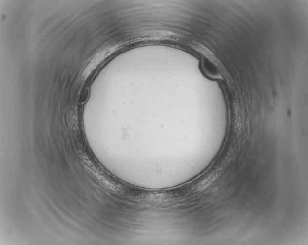 X0000052610834200507221657