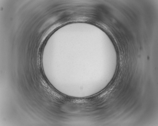 X0000052610835200507221657