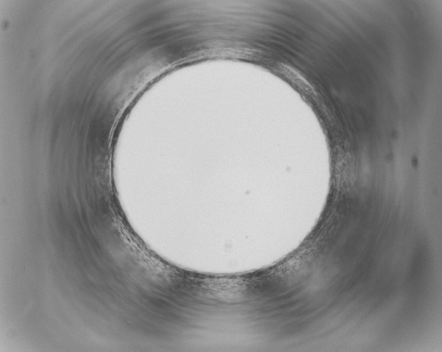 X0000052610836200507221657