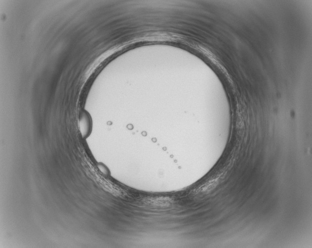 X0000052610837200507221657