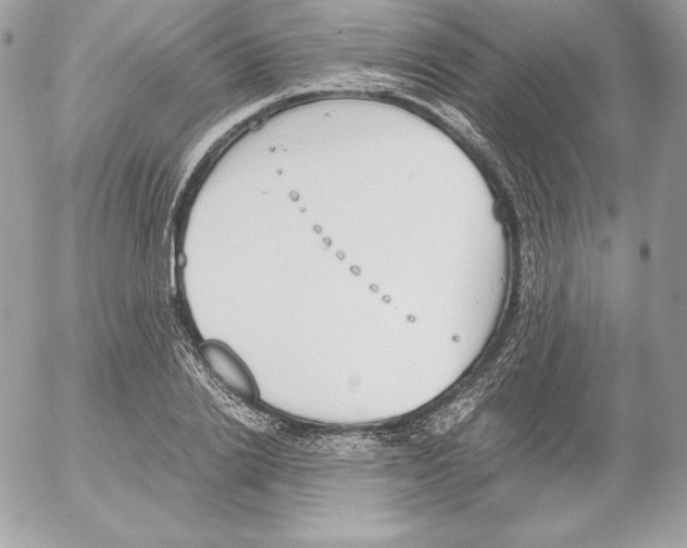 X0000052610838200507221657