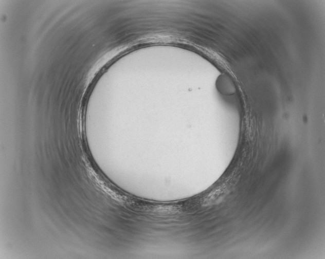 X0000052610839200507221657