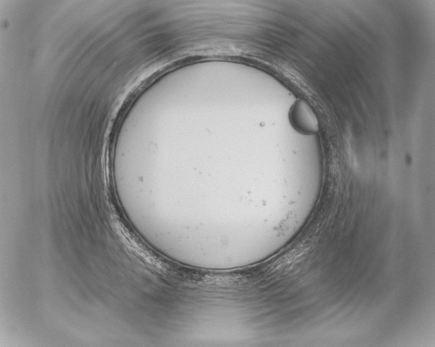 X0000052610840200507221657