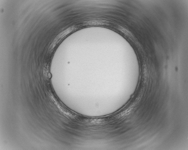 X0000052610841200507221657