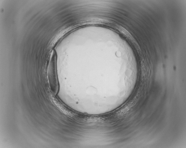 X0000052610842200507221657