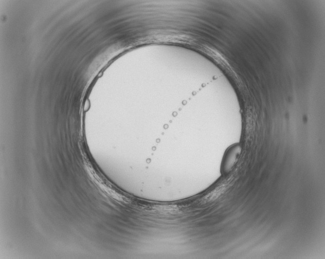 X0000052610844200507221657