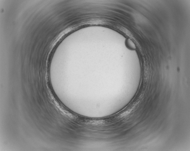 X0000052610845200507221657