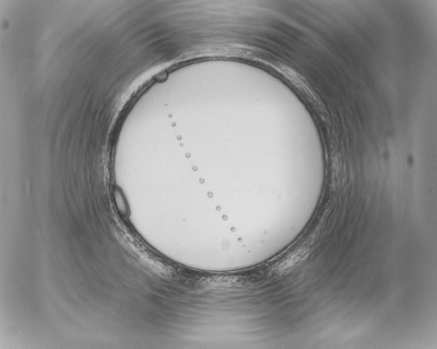 X0000052610846200507221657