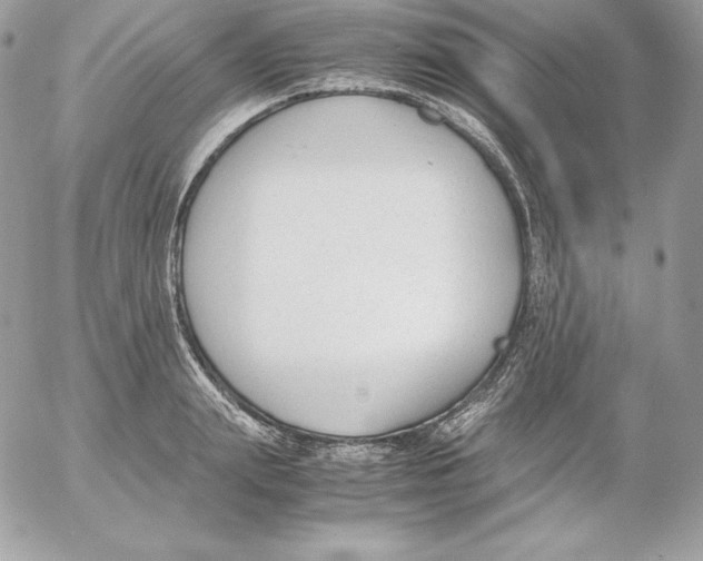 X0000052610847200507221657