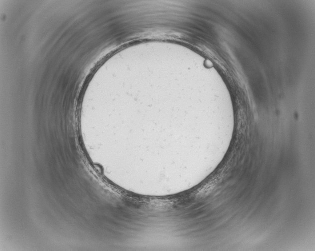 X0000052610848200507221657