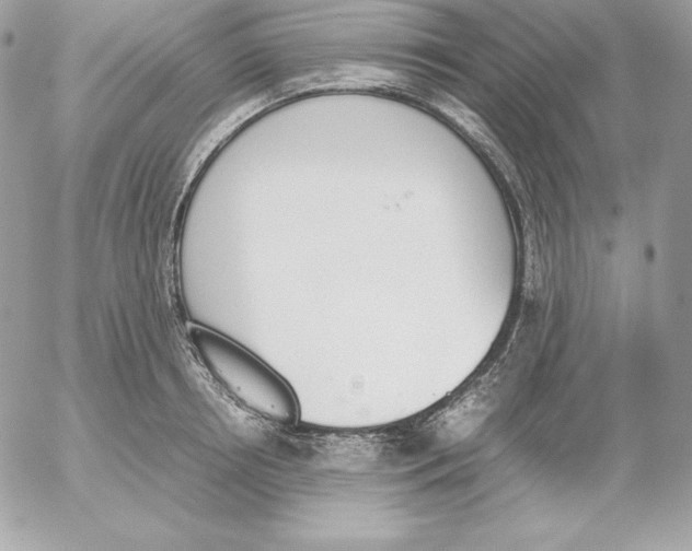 X0000052610850200507221657