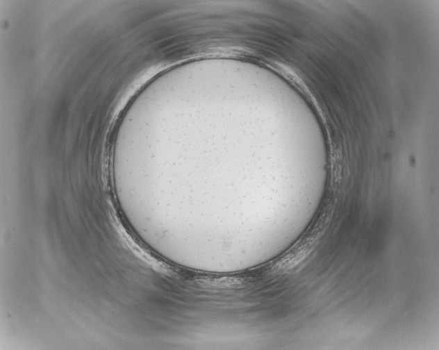 X0000052610851200507221657