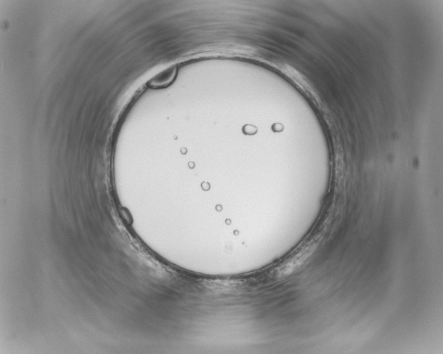 X0000052610854200507221657