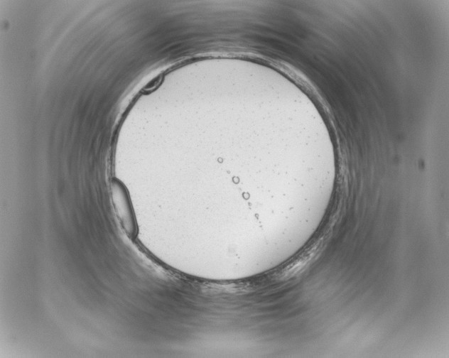 X0000052610855200507221657