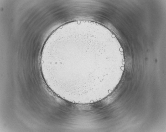 X0000052610856200507221657