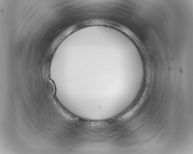 X0000052610857200507221657