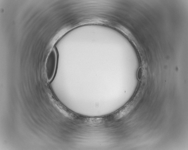 X0000052610858200507221657