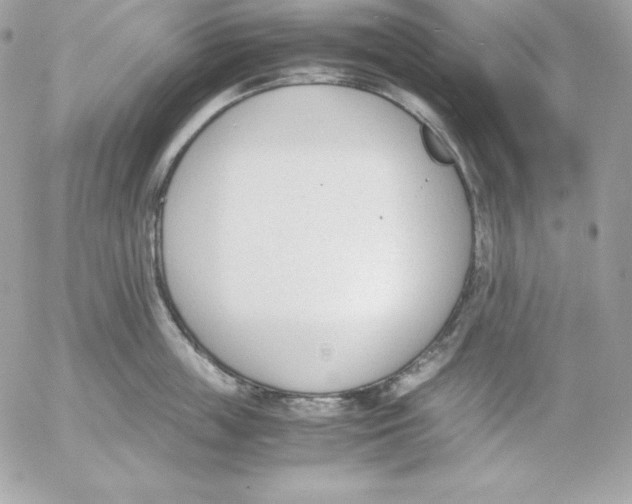 X0000052610859200507221657