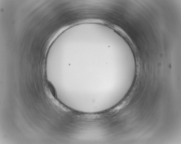 X0000052610860200507221657