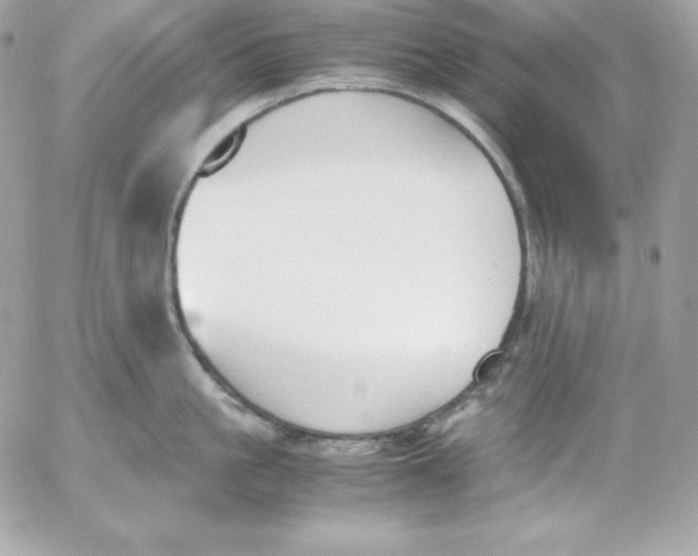 X0000052610861200507221657