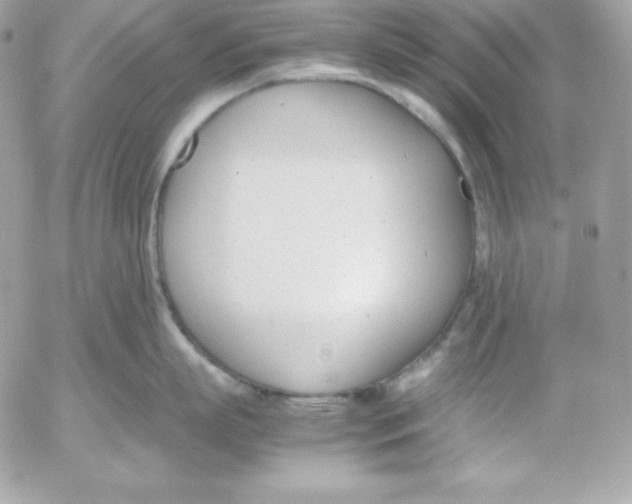 X0000052610863200507221657