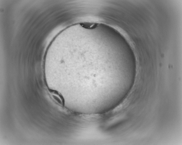 X0000052610864200507221657