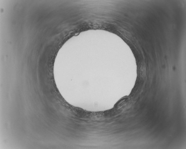 X0000052610865200507221657