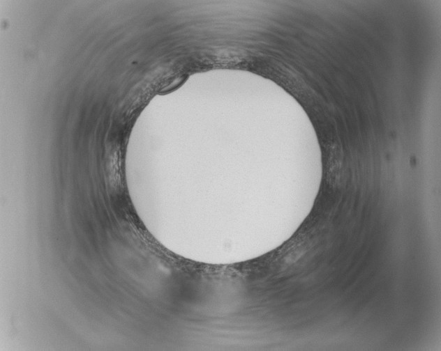 X0000052610866200507221657