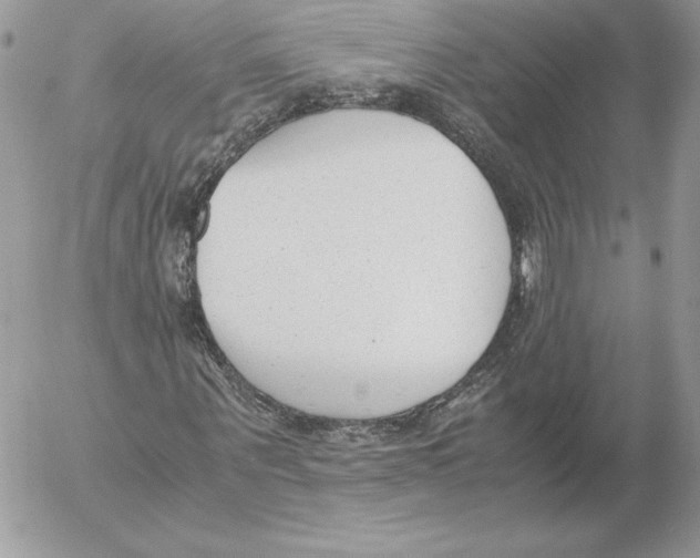 X0000052610867200507221657