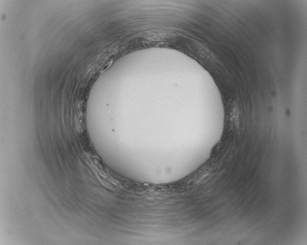 X0000052610868200507221657