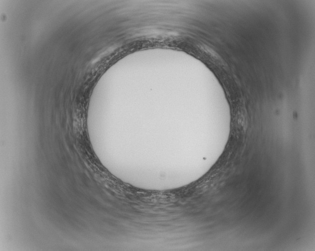 X0000052610869200507221656