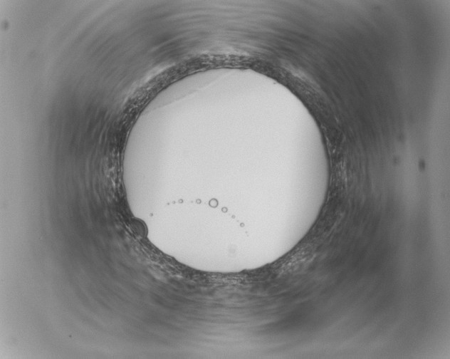 X0000052610870200507221656