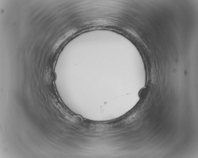 X0000052610873200507221656