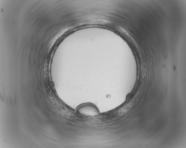 X0000052610875200507221656