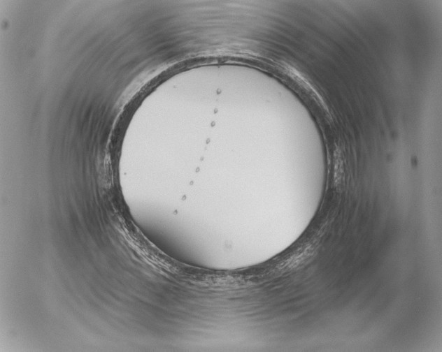 X0000052610876200507221656