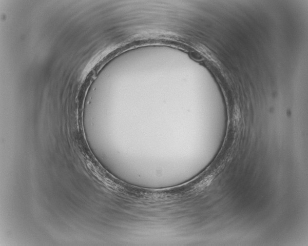 X0000052610877200507221656