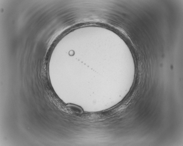 X0000052610879200507221656