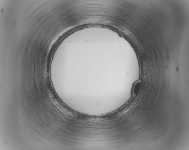 X0000052610880200507221656