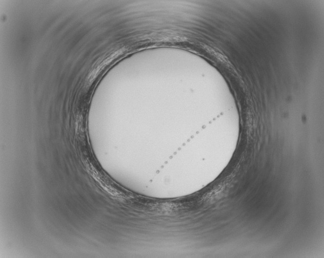 X0000052610881200507221656