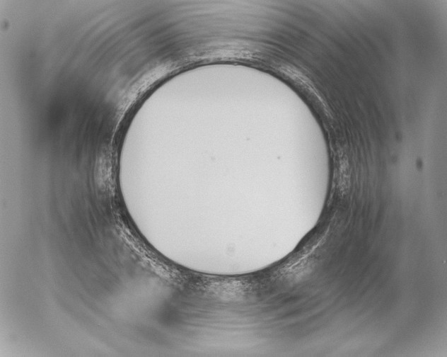 X0000052610882200507221656