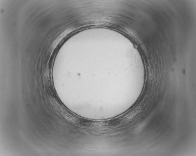 X0000052610883200507221656