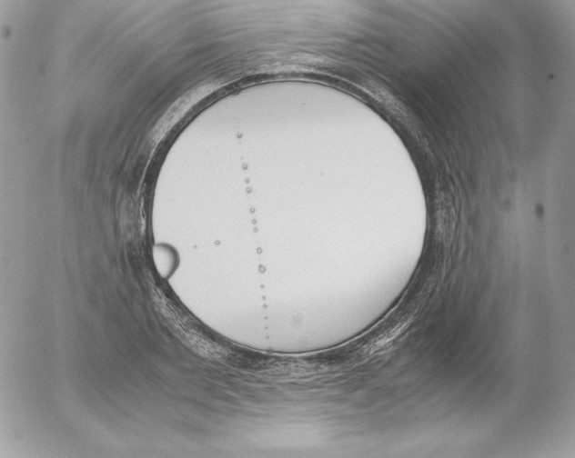 X0000052610885200507221656