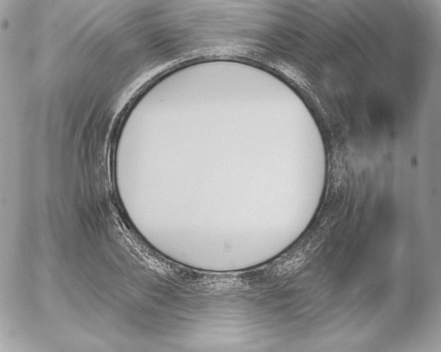 X0000052610886200507221656