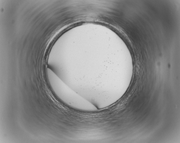 X0000052610887200507221656